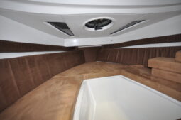 Coaster 600 DC elektromos 50 LE  kabinos day cruiser full